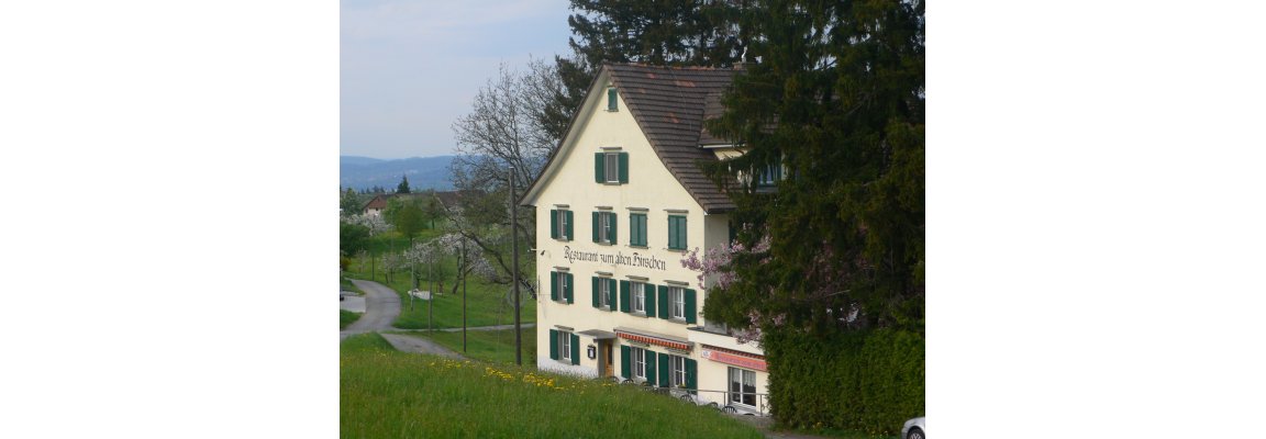 Restaurant, Schweizer Kche, Cordonbleu, Bankette, Firmenanlsse Hirzel, Wdenswil, Tahlwil und Sihlbrugg 